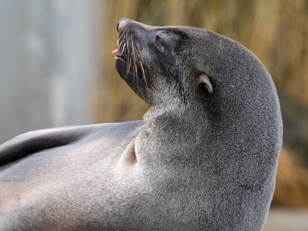 J rgen Zoo Augsburg 03