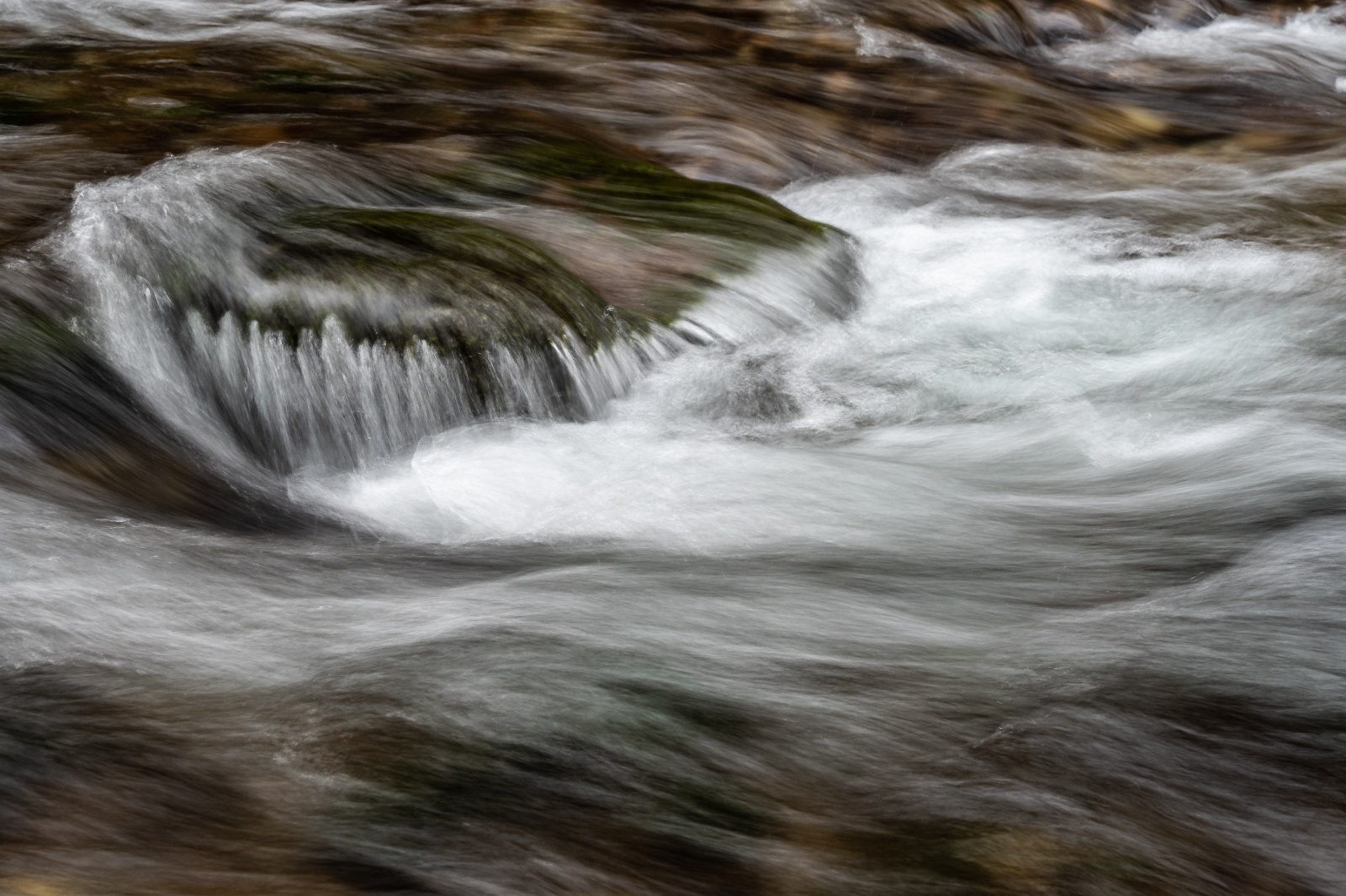 Feldmann Haldertobel 03