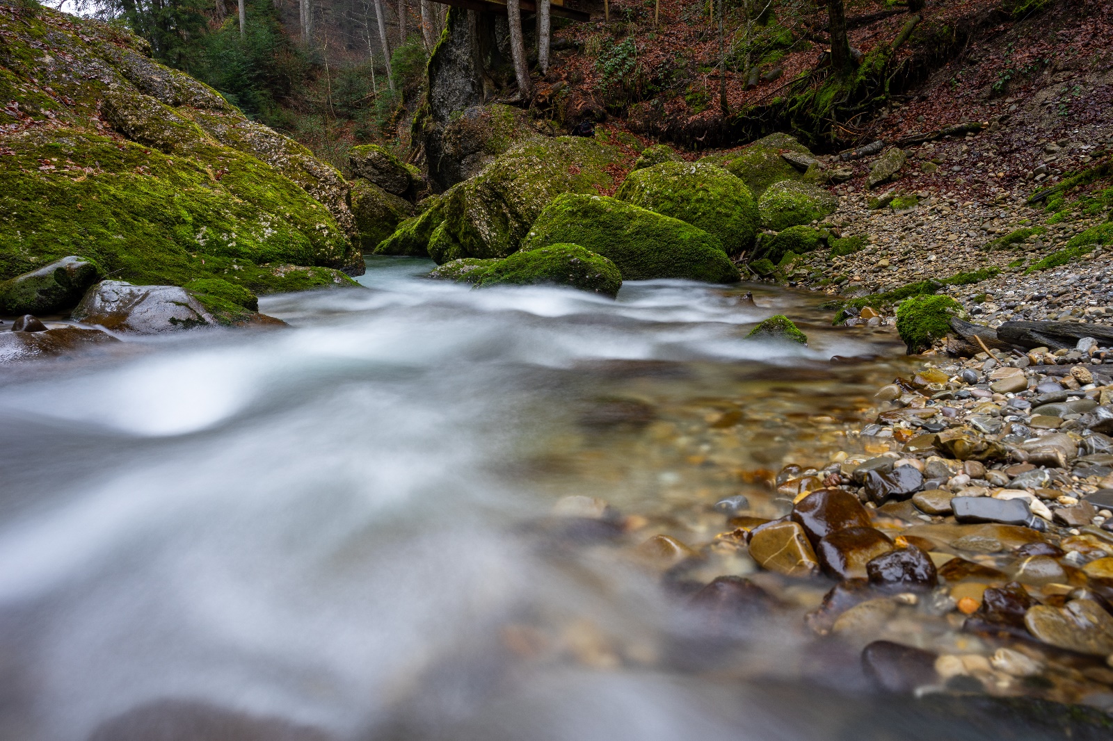 Prinz Haldertobel 03