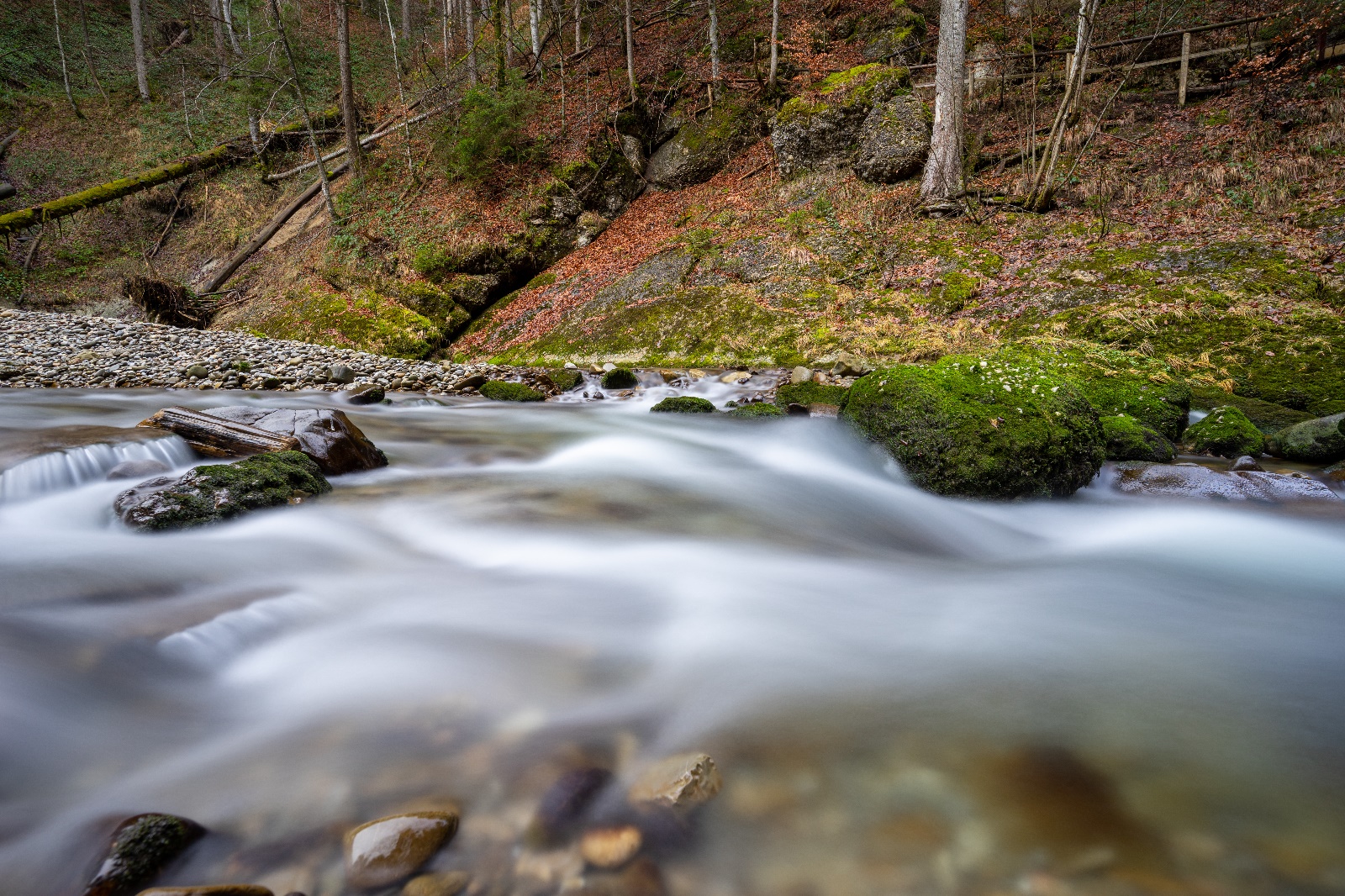 Prinz Haldertobel 05
