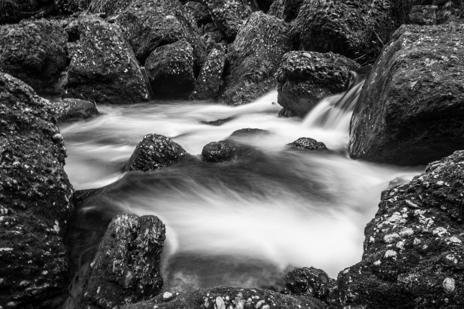 Rothfelder Haldertobel 03