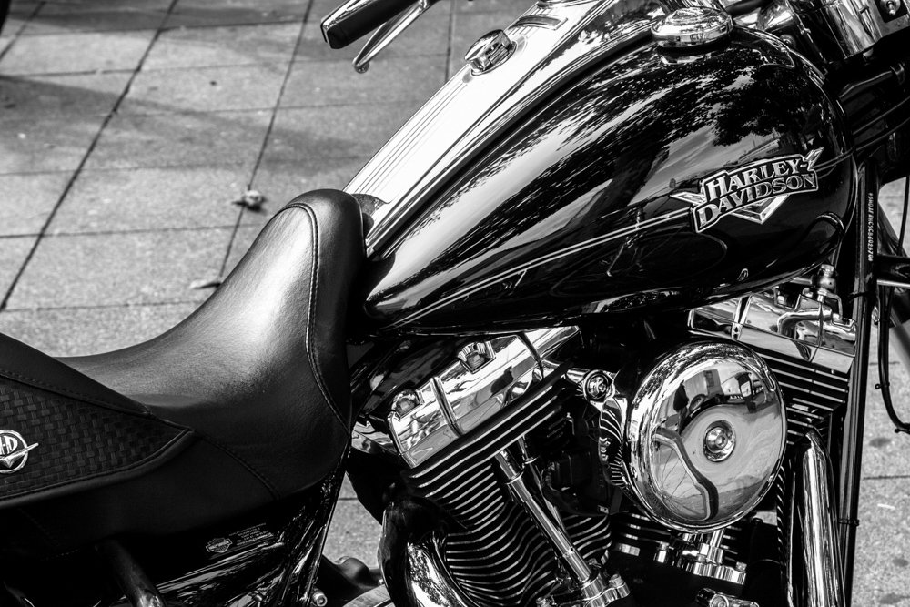 Feldmann Rundungen BA