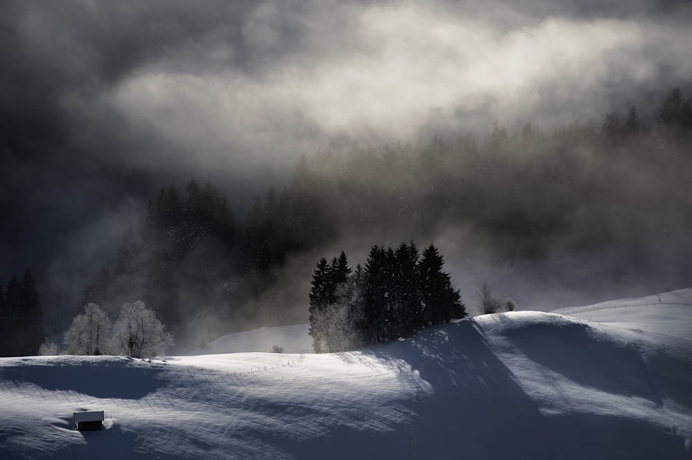 Monatsbilder Februar 2012