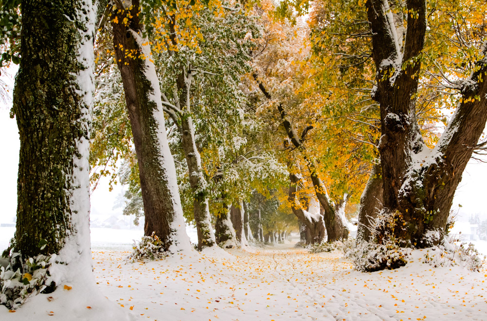 IMG 0398 399 400 tonemapped