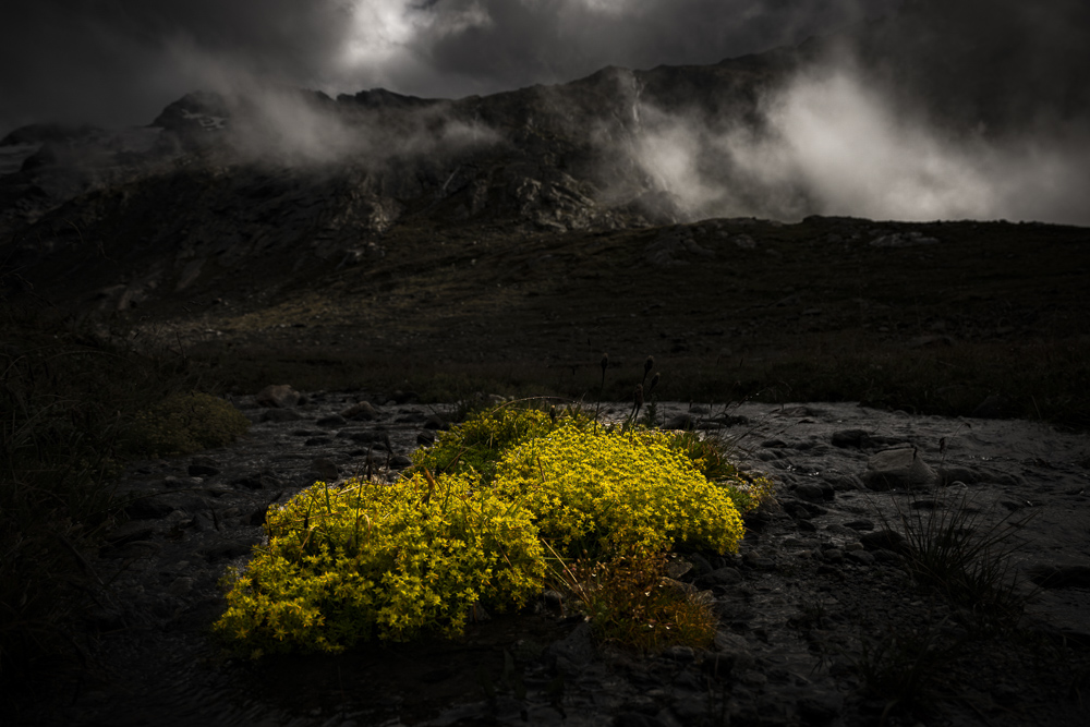 2025 02 JosefSchafnitzel