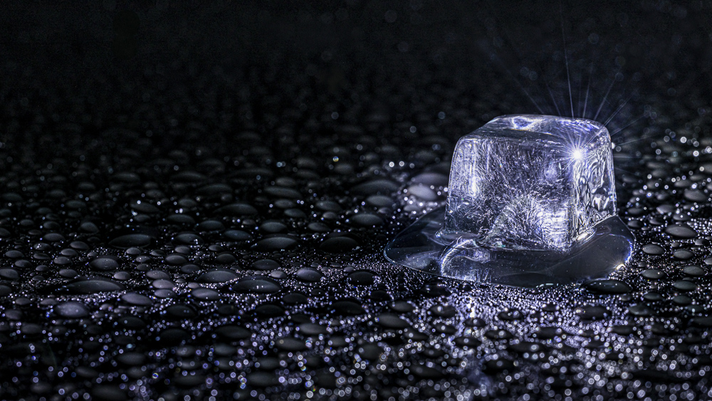 2025 02 JosefSchafnitzel