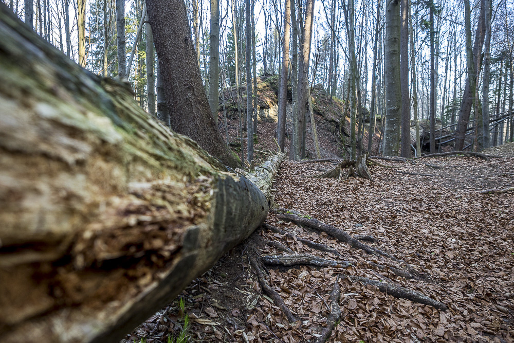 J rgen Teufelsk che 02