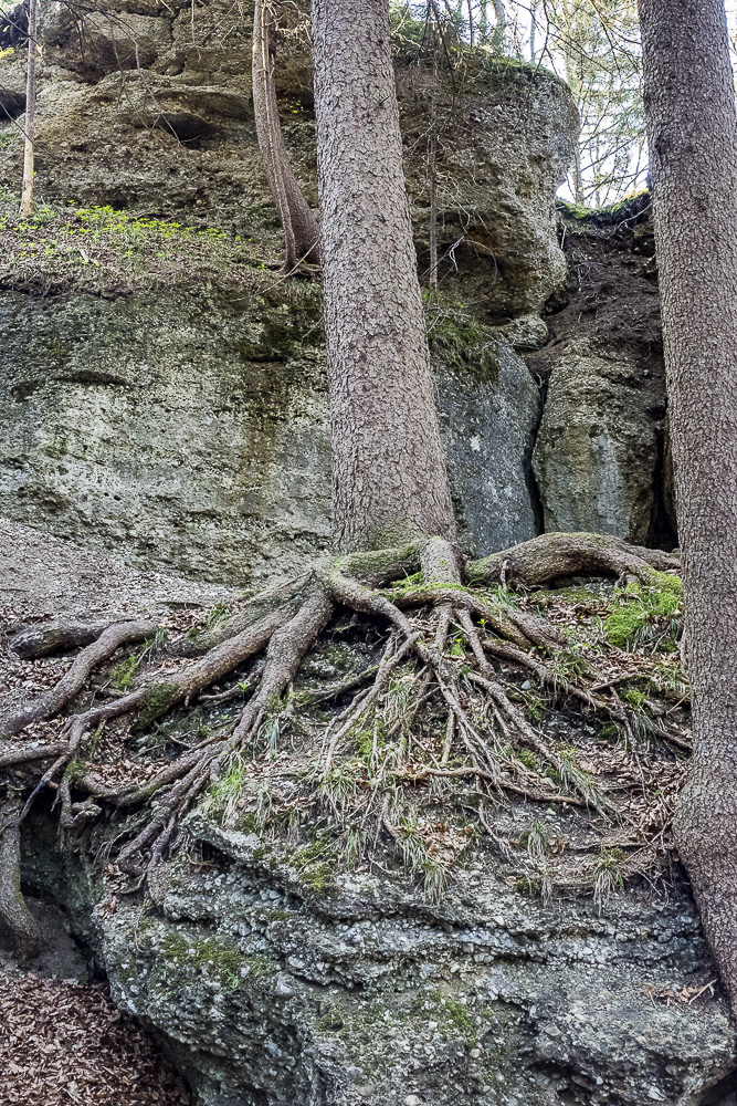 J rgen Teufelsk che 03