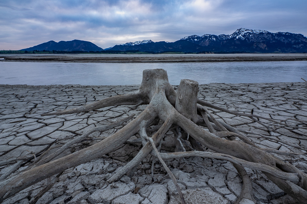 von Jürgen Feldmann