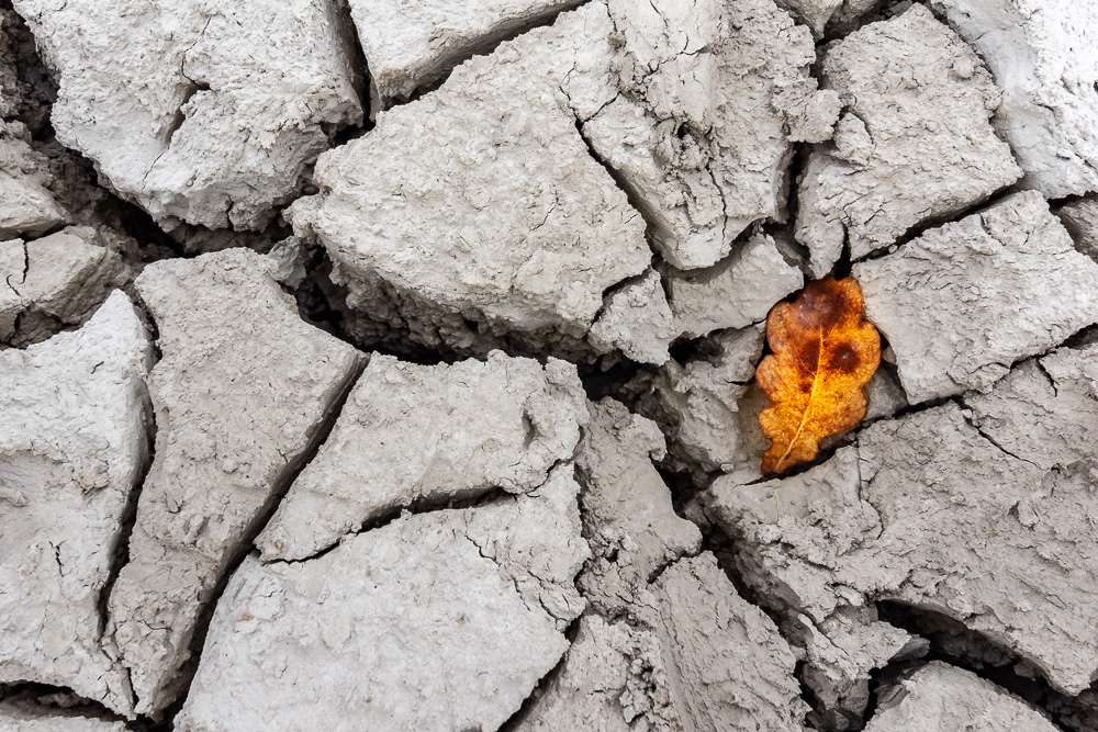 von Jürgen Feldmann