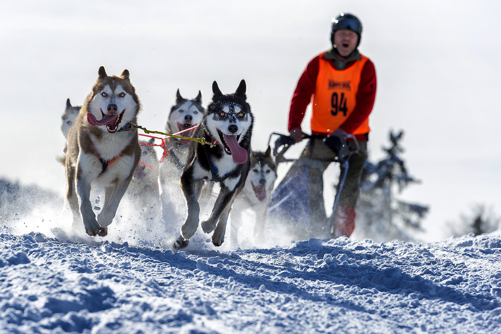 Hundeschlittenrennen Unterjoch