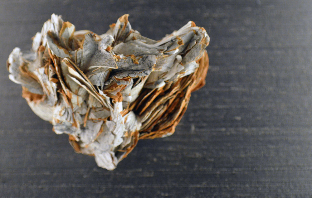 Stefanie Bu j ger Pinakothek 2