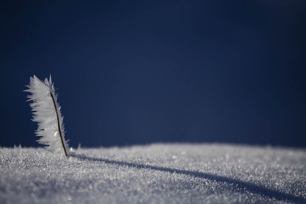 Monatsbilder Dezember 2011