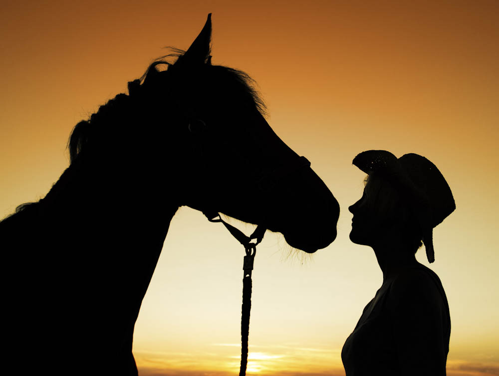 Monatsbilder Juli 2011