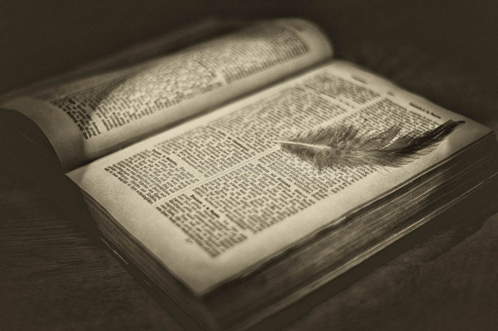 Monatsbilder Oktober 2011