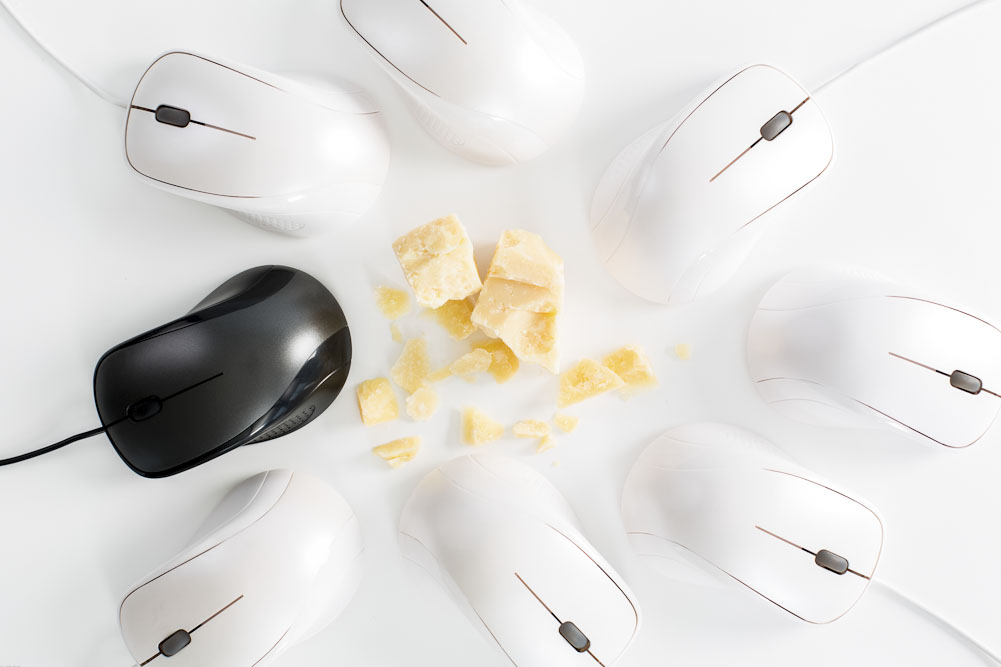 9. Platz Michael Gerlach