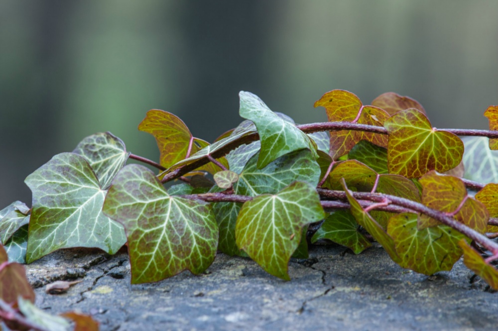 J rgen Web Galerie 08