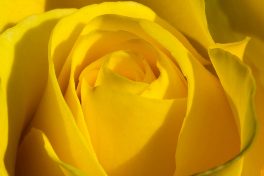 J rgen Web Galerie 09